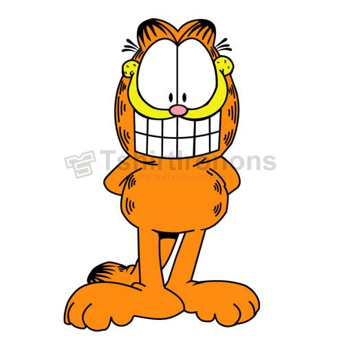 Garfield T-shirts Iron On Transfers N6307